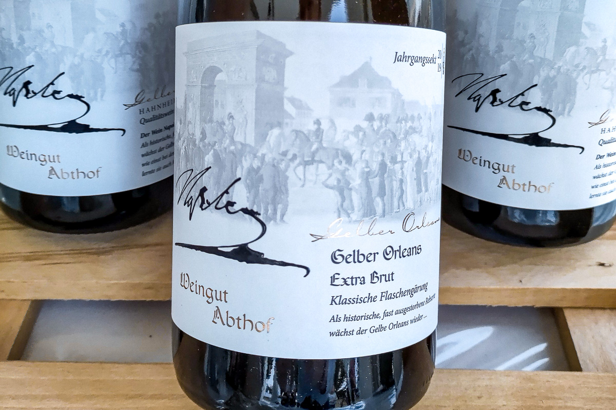 Flasche Sekt in einer Holzkiste: Gelber Orleans Weingut Abthof aus Hahnheim/ Rheinhessen
